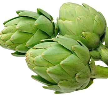 Artichoke Green Globe