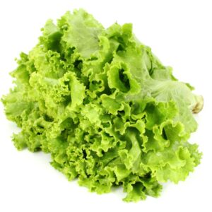 lettuce grand rapids