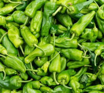 Hot Pepper – Padron