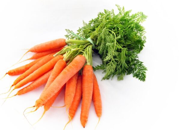 nantes carrot