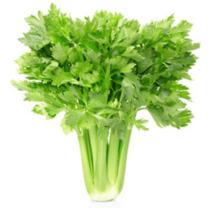 tall utah celery