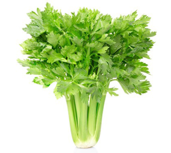 Celery – Tall Utah