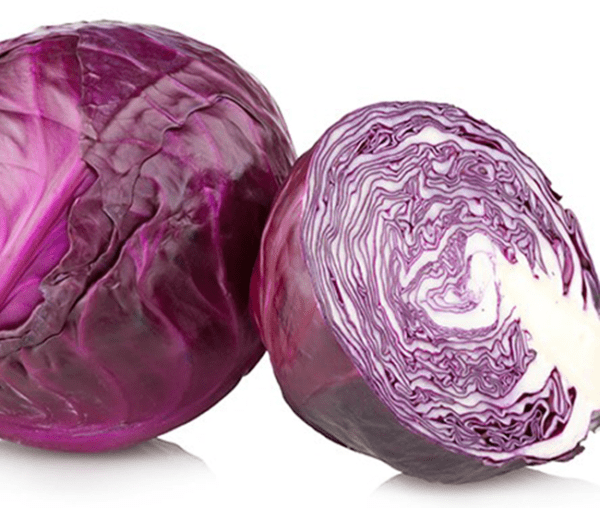 cabbage red acre