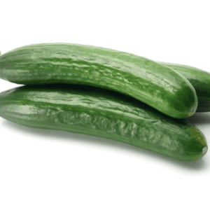 lebanese cucumber magic f1
