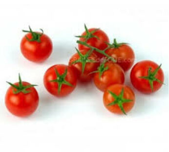 Tomato – Cherry – Large Red Cherry