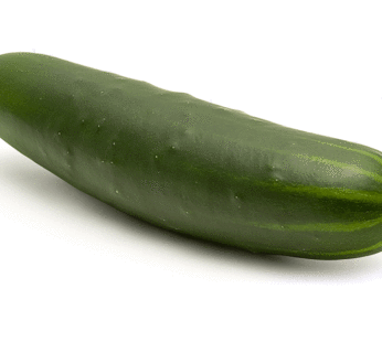 Cucumber – Marketmore 76