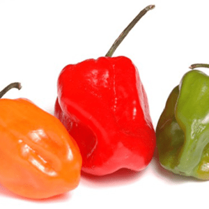 hot pepper habanero red