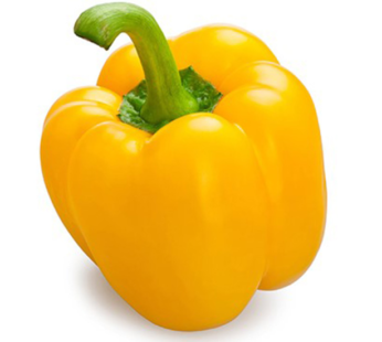 Pepper – Sweet Yellow Golden Calwonder