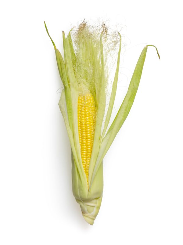 golden bantam corn