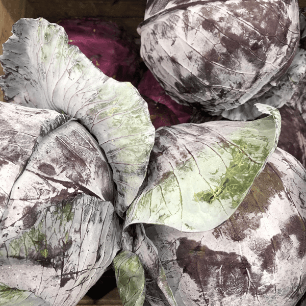 red acre cabbage