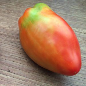 tomato gigante marzao semences