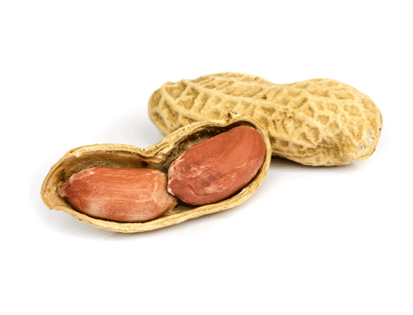 valencia peanut