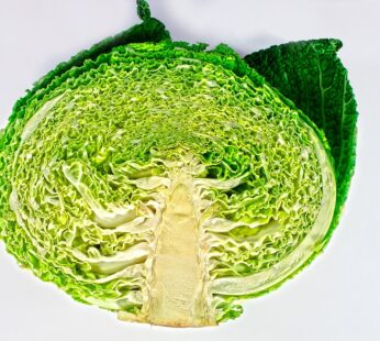 Cabbage – Savoy Perfection