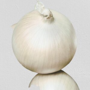 Onion white sweet spanish