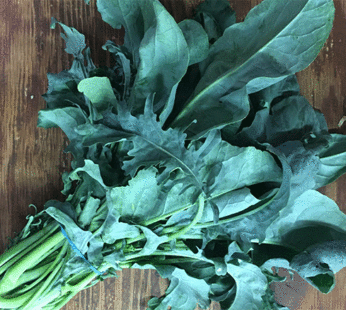Broccoli – Spigariello Foglia Liscia