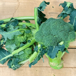 broccoli waltham