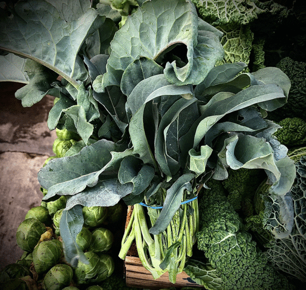 broccoli spigariello