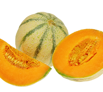 Cantaloupe – Charentais