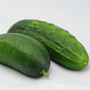 cucumber bush pickle