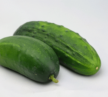 Cucumber – Bush Pickle