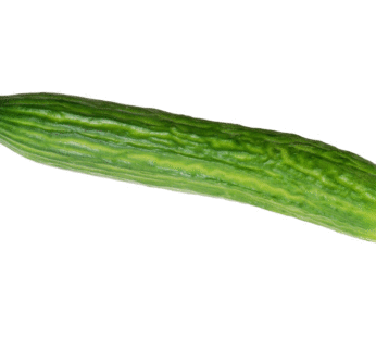 Cucumber – English Telegraph