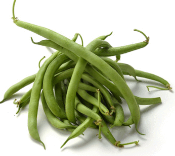Bean – Green Provider