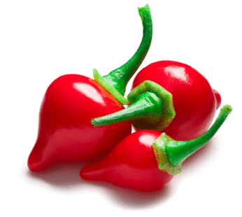 Hot Pepper – Biquinho Red