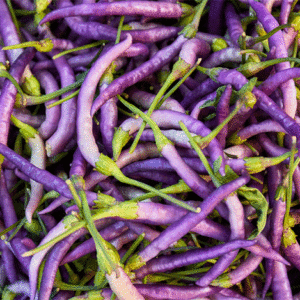 hot pepper cayenne purple