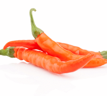 Hot Pepper – Cayenne Orange