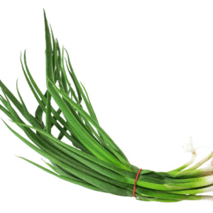onion evergreen nebuka