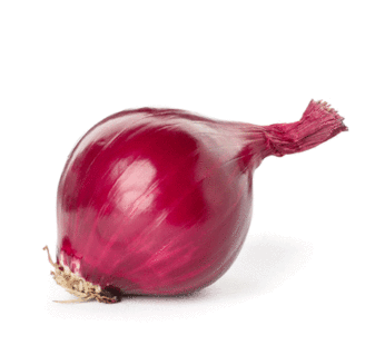 Onion – Red October