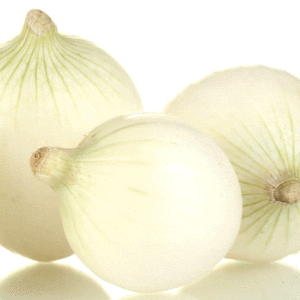 onion white lisbon
