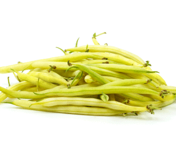 Bean – Yellow Carson