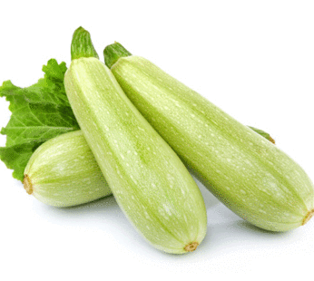 Squash – Zucchini Gray