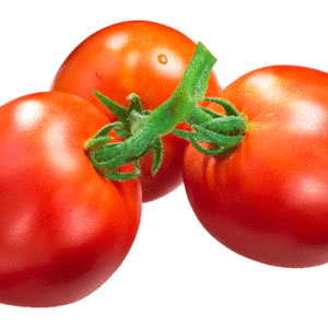 marglobe tomato