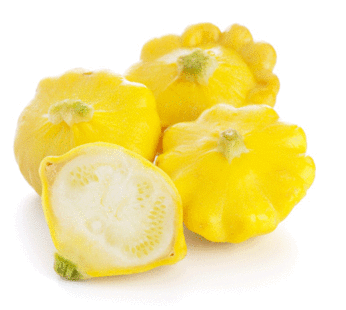 Squash – Pattypan Yellow Bush