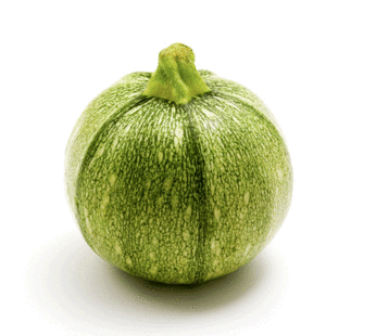 Squash – Zucchini Ronde de Nice