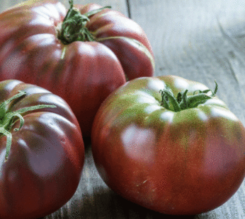 Tomato – Brandywine Black