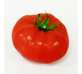 Tomato – Brandywine Red