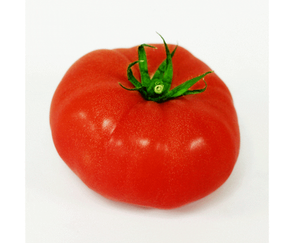 red brandywine tomato