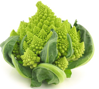 Broccoli – Romanesco