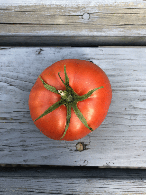 thessaloniki tomato