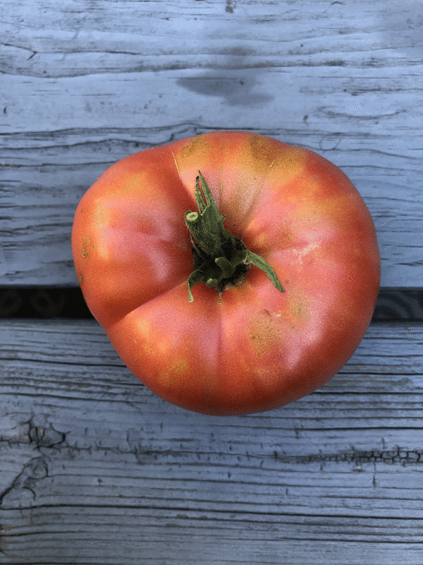 tomato german johnson