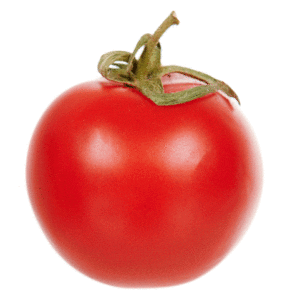tomato thessaloniki