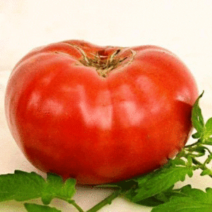 watermelon beefsteak tomato