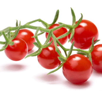Tomato – Cherry – Currant Sweet Pea