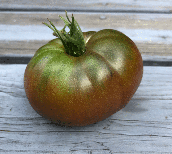 Tomato – Black from Tula