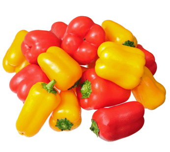 Pepper – Mini red and yellow bell
