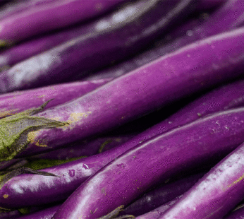 Eggplant – Taiwanese Ping Tung Long
