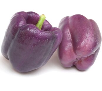 Pepper – Purple Beauty